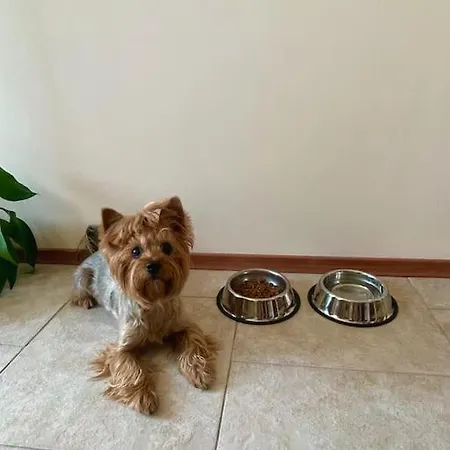 Lovita With A Garage Appartement *