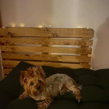 Lovita With A Garage Apartman