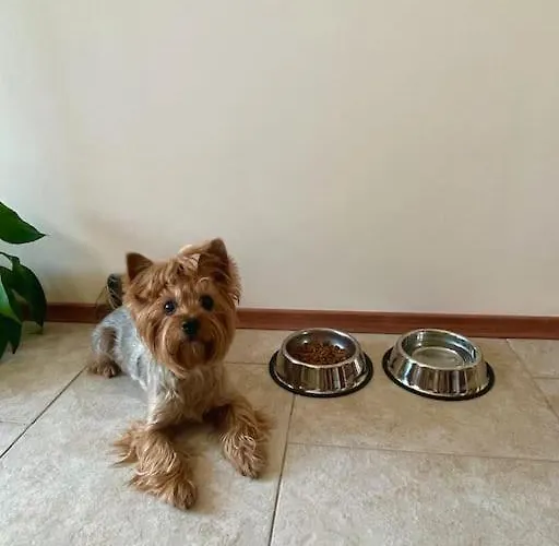 Lovita With A Garage Apartament *