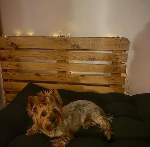 Lovita With A Garage Apartament